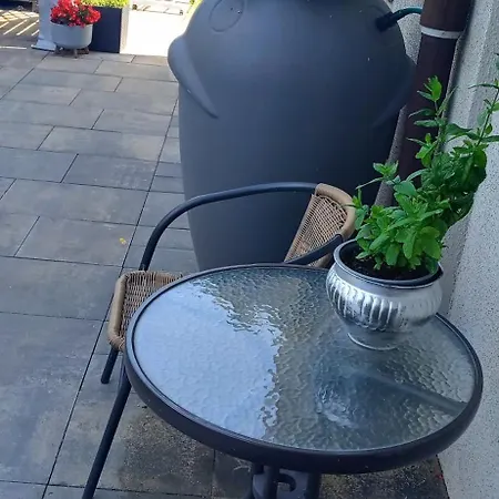 Alloggio in famiglia Goscinne Akacja Resko *