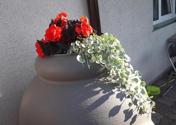 Goscinne Akacja Resko